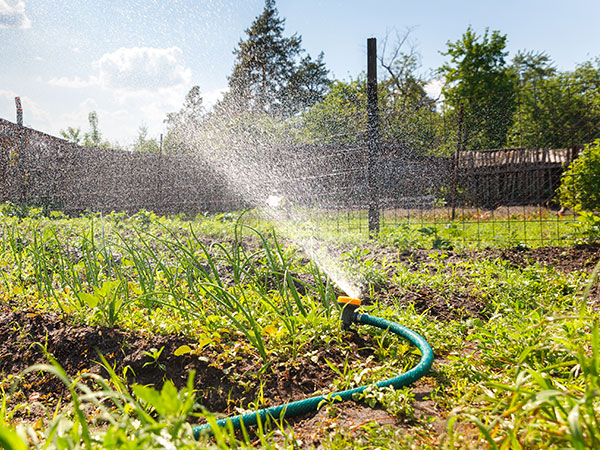 Irrigation Systems Design and Installation